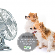 6 Ways to Stay Cool in Your Home This Summer Without Air Conditioning
