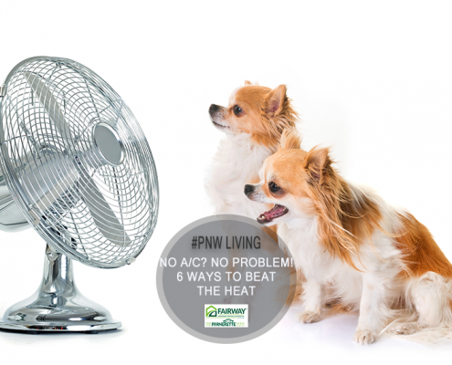 6 Ways to Stay Cool in Your Home This Summer Without Air Conditioning